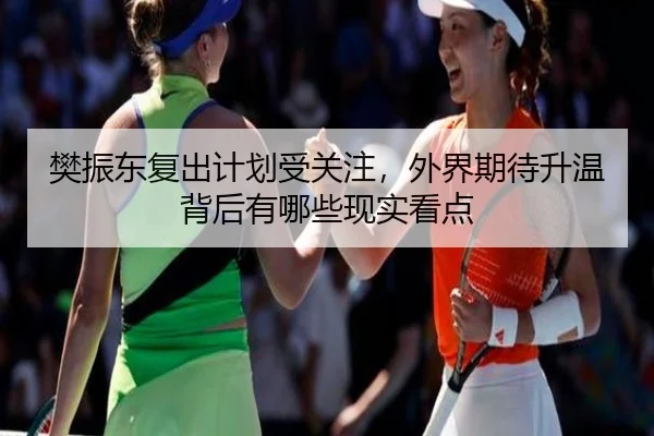 樊振东复出计划受关注，外界期待升温背后有哪些现实看点